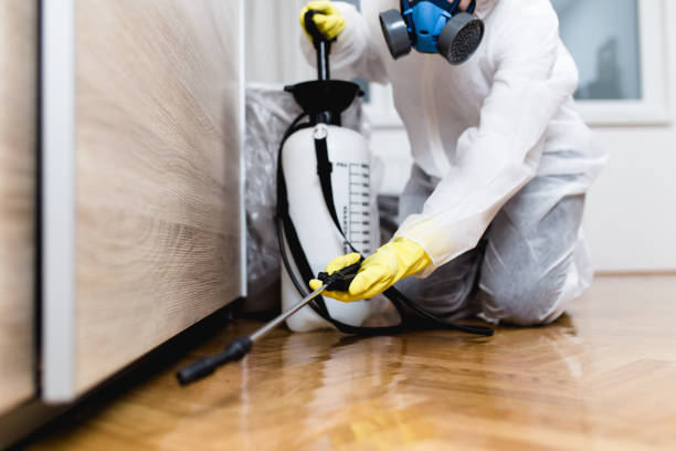 Best Rat Extermination Near Me  in San Augustine, TX