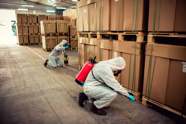 Best Rat Extermination Near Me  in San Augustine, TX