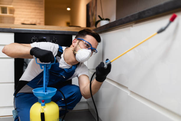 Best Wasp Removal Services  in San Augustine, TX