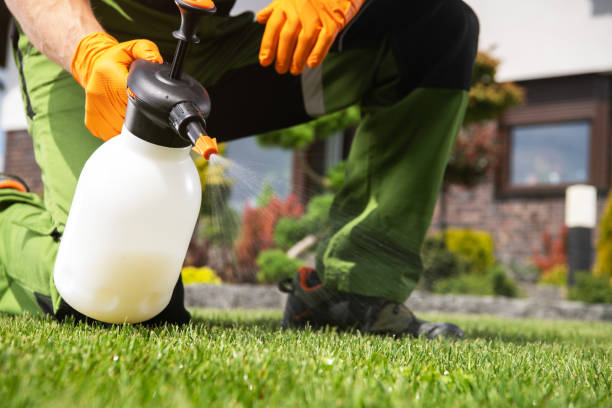 Best Best Pest Control Companies  in San Augustine, TX