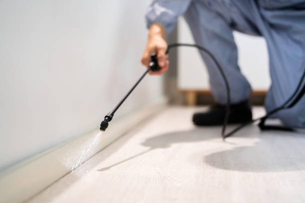 Best Pest Prevention Services  in San Augustine, TX