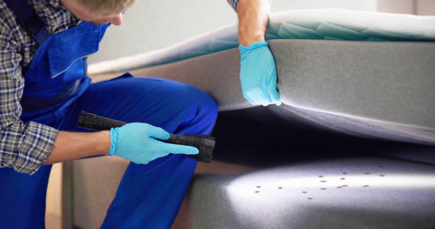 Professional Pest Control in San Augustine, TX
