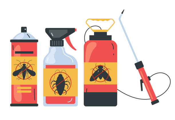 Best Best Pest Control Near Me  in San Augustine, TX