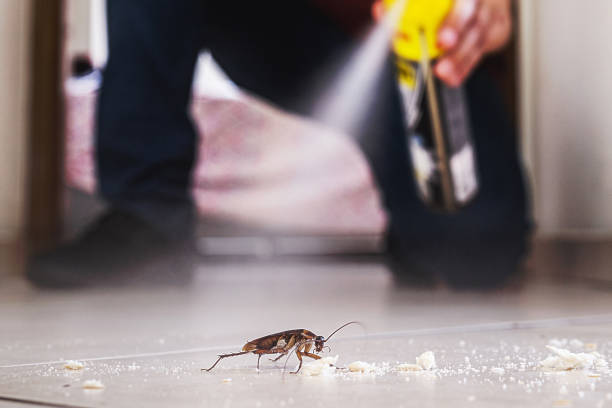 Best Exterminator Services  in San Augustine, TX