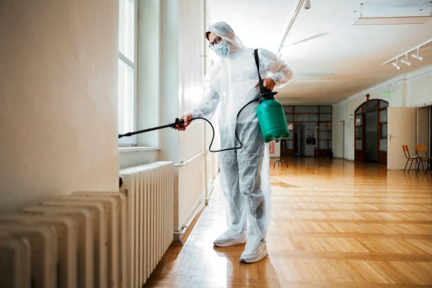 Best Affordable Pest Control Services  in San Augustine, TX
